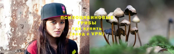 стафф Абинск